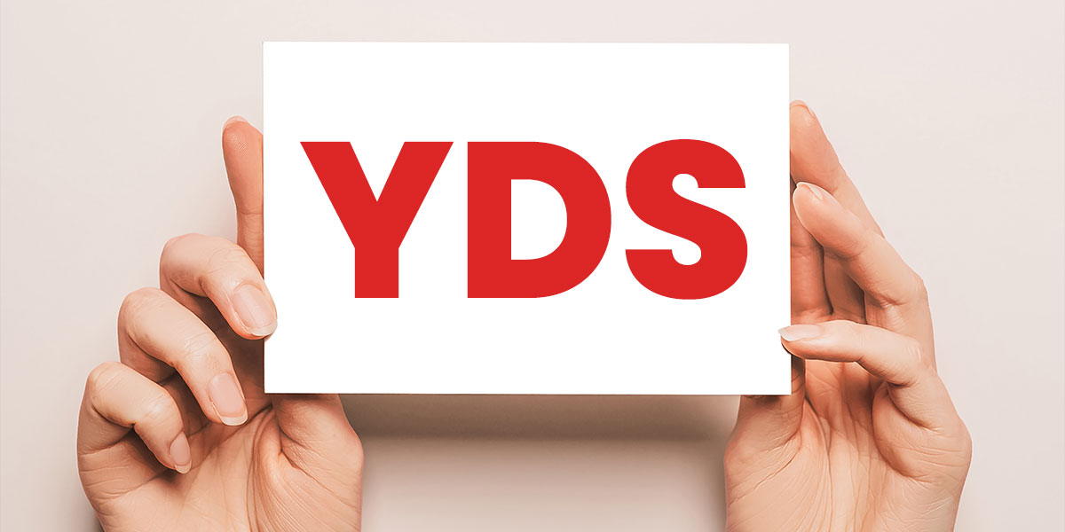 Amerikan Kültür Bursa - YDS Hazırlık Kursu